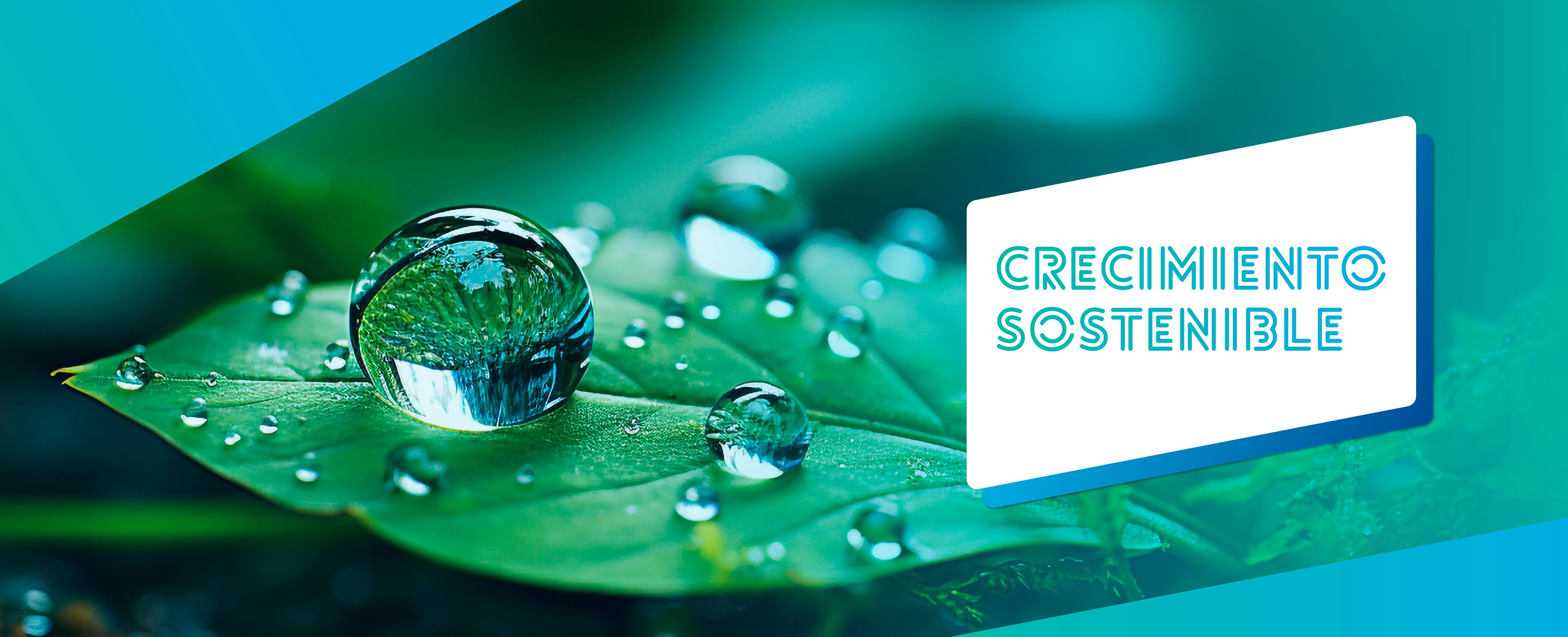 Crecimiento sostenible - PAM Saint-Gobain